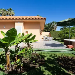 La Gaviota - Limoneros , Icod De Los Vinos Spanien